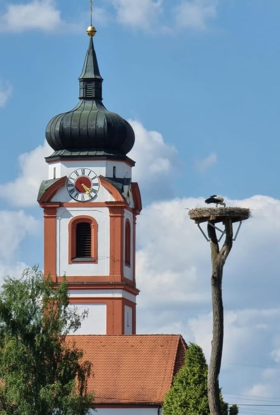 Storchen-Familie hält Einzug in Rudelzhausen